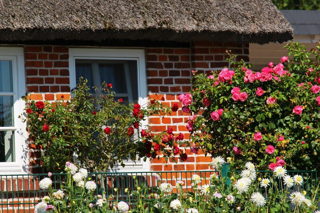 Conseils de jardinage garantis pour améliorer votre jardin ce printemps